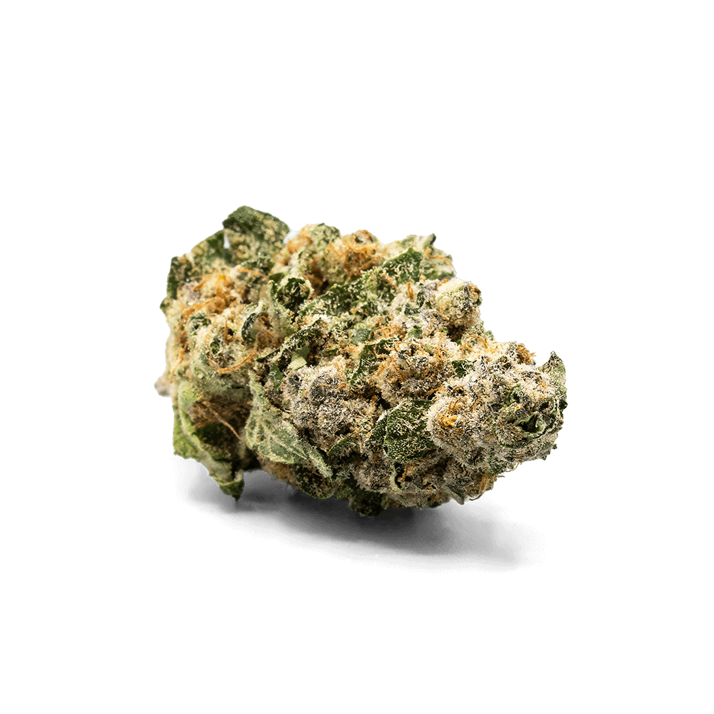 Garlic Fusion