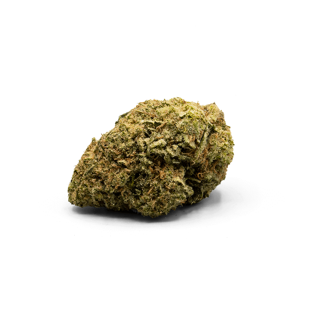 Golden Goat