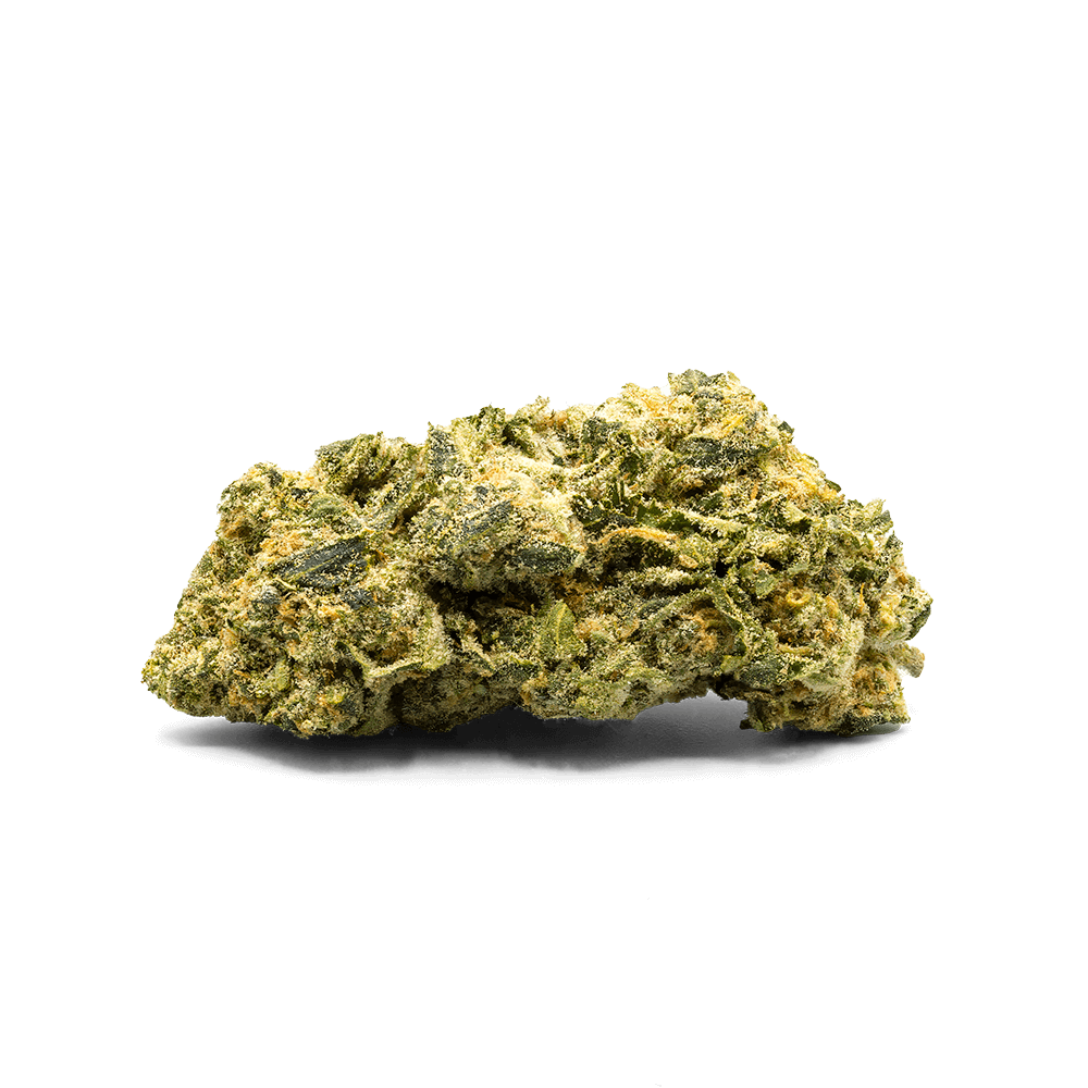 Lemon Cosmos