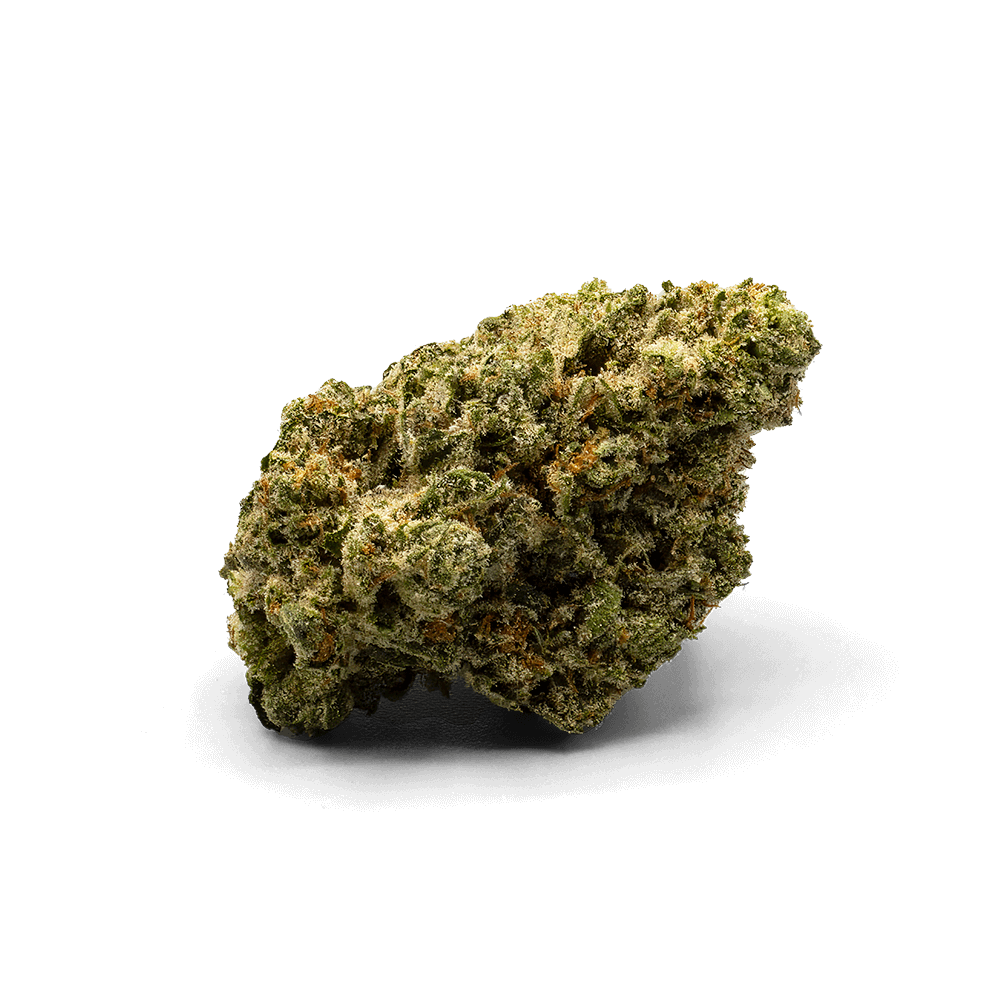 O.C. Orange