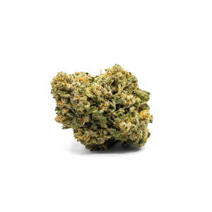 BIP City Nug