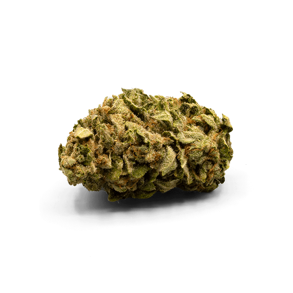 Zkittles x Dosidos #18